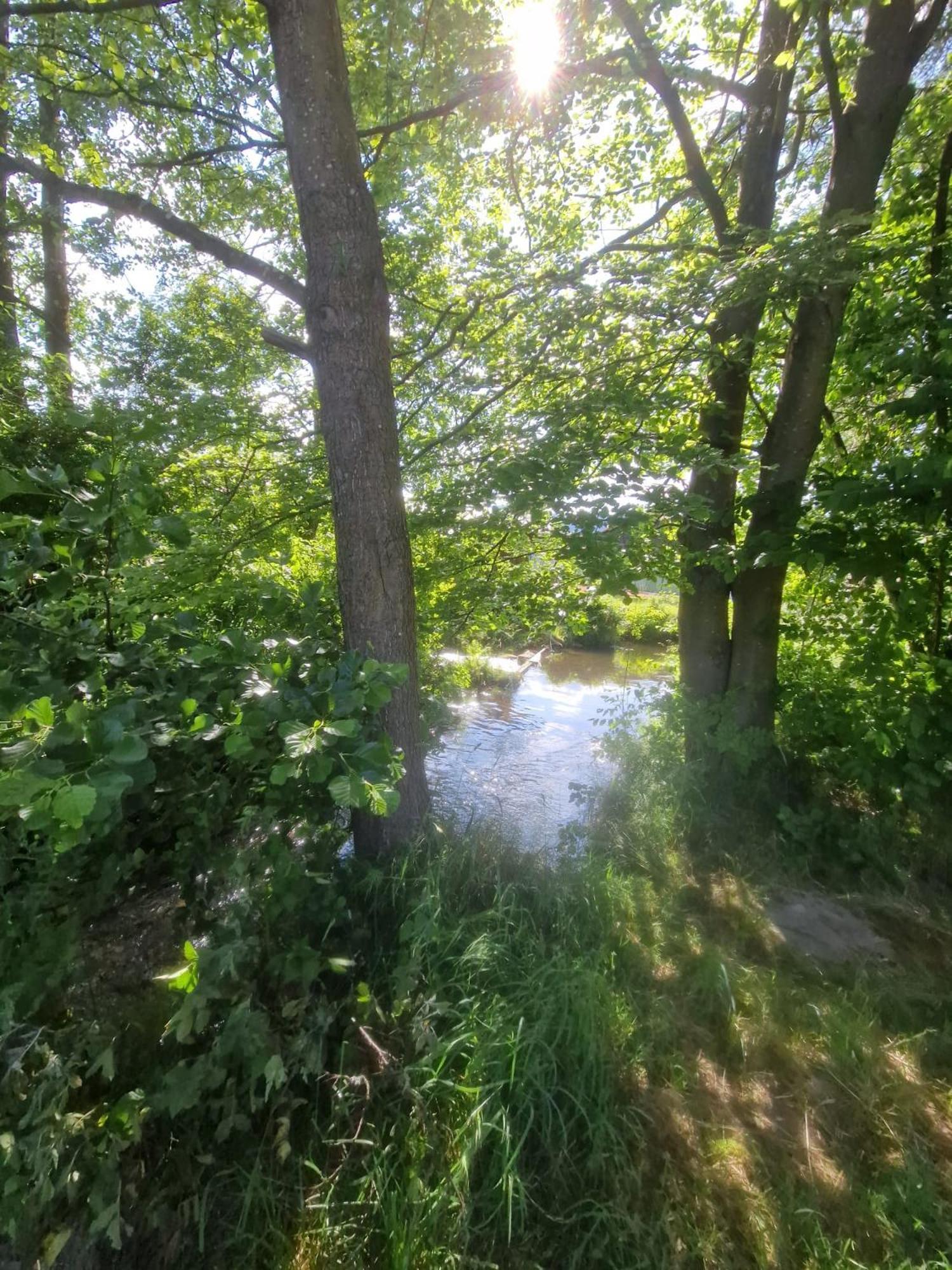 Ferienhaus Am Bach Achslach Zewnętrze zdjęcie