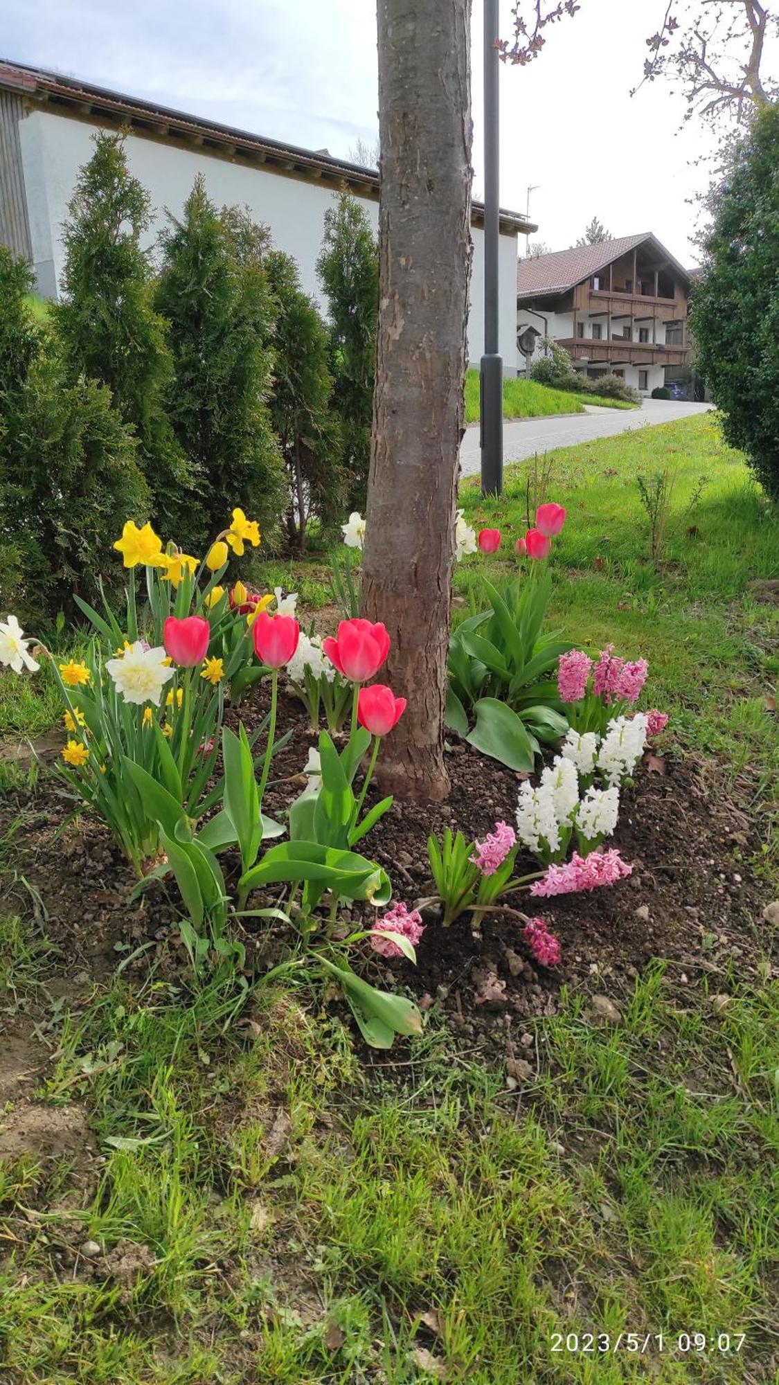 Ferienhaus Am Bach Achslach Zewnętrze zdjęcie