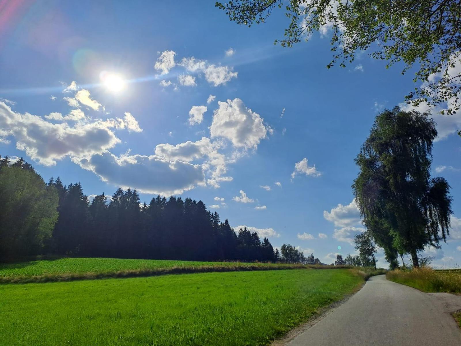Ferienhaus Am Bach Achslach Zewnętrze zdjęcie