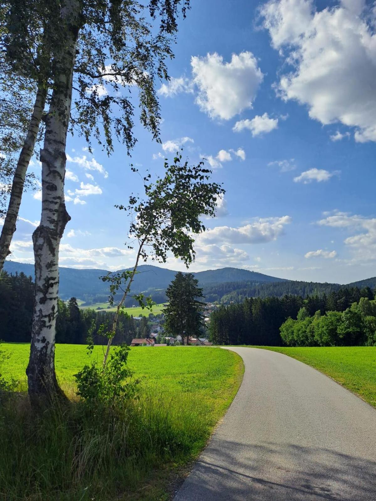 Ferienhaus Am Bach Achslach Zewnętrze zdjęcie